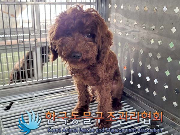 한국동물구조관리협회_441560202400316